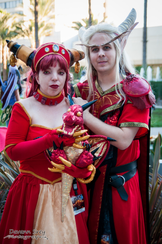 Illustration for article titled Glorious video game cosplay from this weekend's BlizzCon